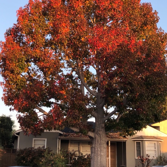 Meet your Posher, Linda - Picture 7 of 11